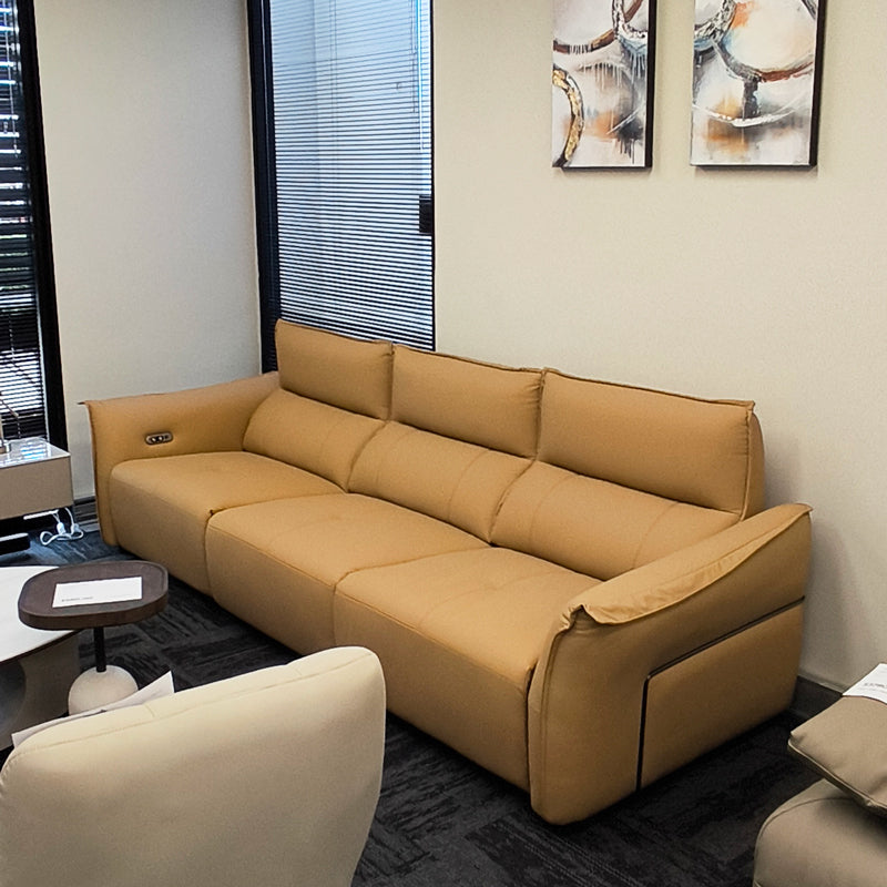 Cat Scratch Leather Sofa Imported Material XMT-1869