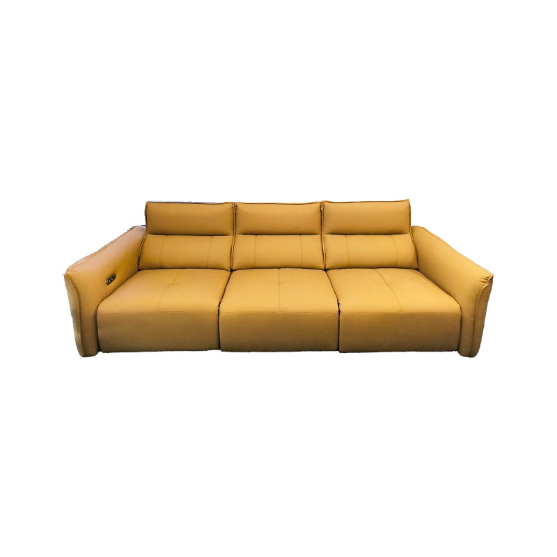 Cat Scratch Leather Sofa Imported Material XMT-1869