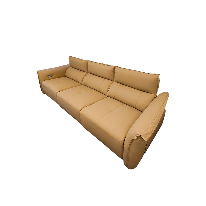 Cat Scratch Leather Sofa Imported Material XMT-1869