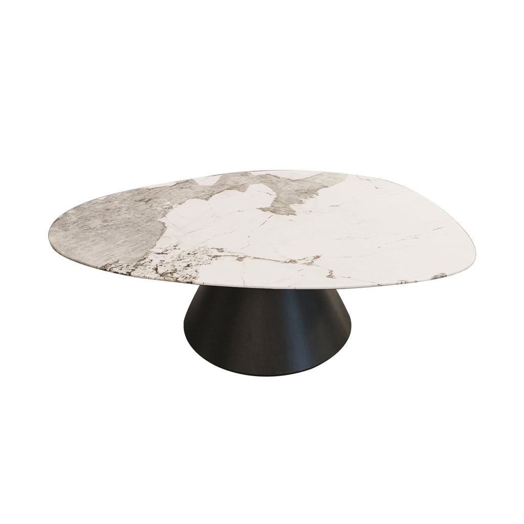 Irregular Shape Coffee Table Set with Carbon Steel Base