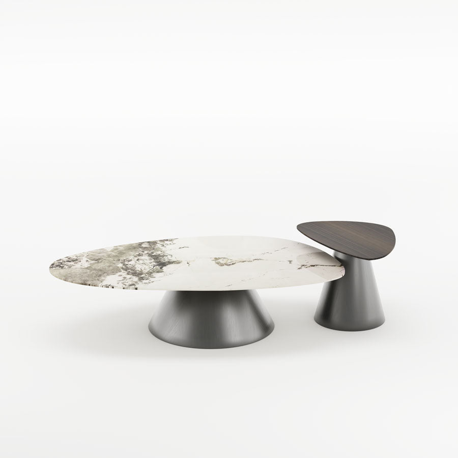 Irregular Shape Coffee Table Set with Carbon Steel Base
