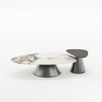 Irregular Shape Coffee Table Set with Carbon Steel Base