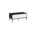 RAQUEL Signature Coffee Table Two Drawers/MDF/Steel Legs