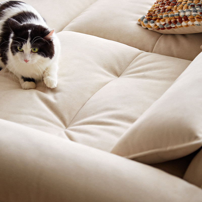 Circe Single/Double/Triple Folding Sofa/Sofa Bed Pet-Friendly Upholstery