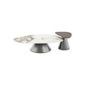 Irregular Shape Coffee Table Set with Carbon Steel Base