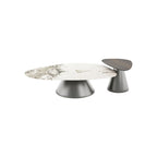 Irregular Shape Coffee Table Set with Carbon Steel Base