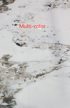 Serinee Oval Ceramic Coffee Table/ Golden Colored Legs/Steel Frame