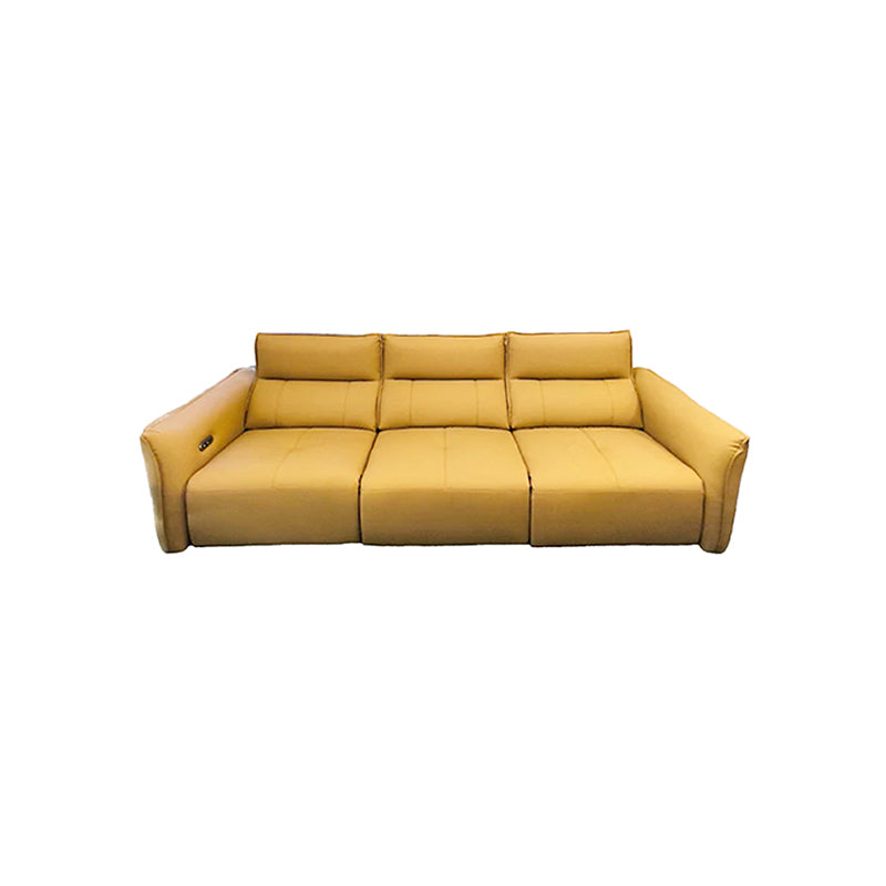 Cat Scratch Leather Sofa Imported Material XMT-1869